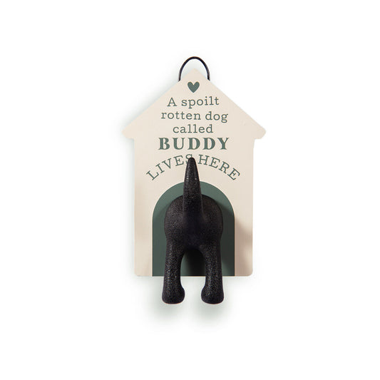 Dog Leash Wall Mounted Gift: Buddy